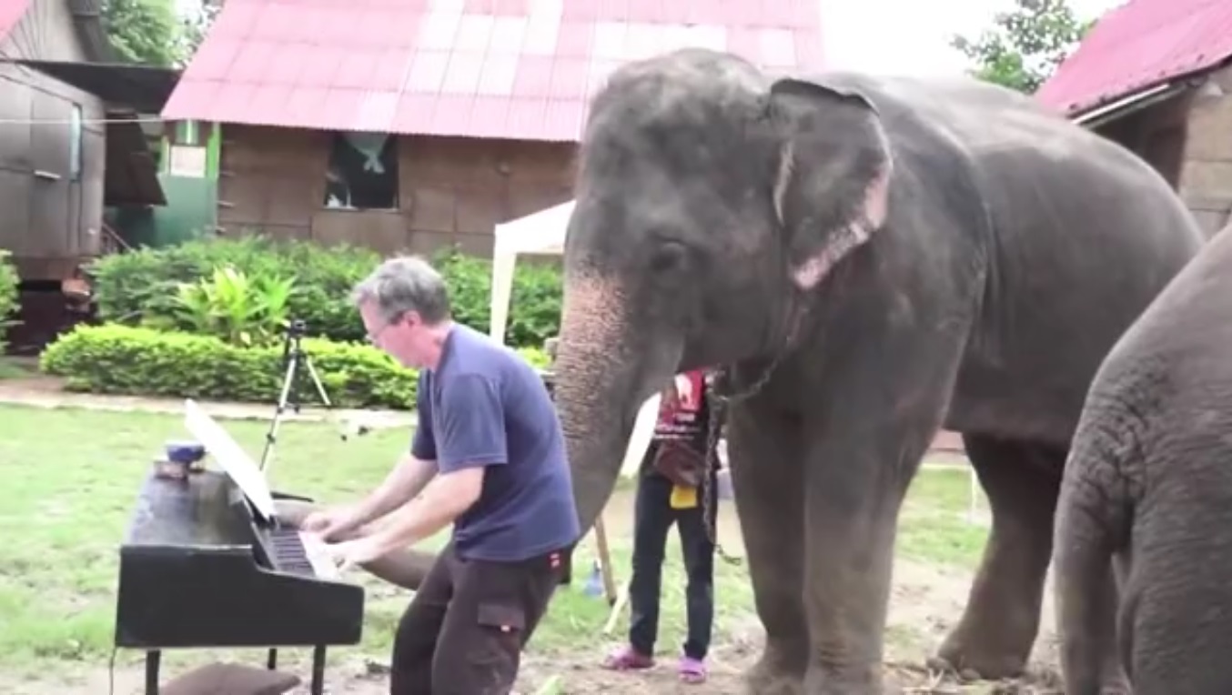 Слоны с музыкальной колонкой на спине.