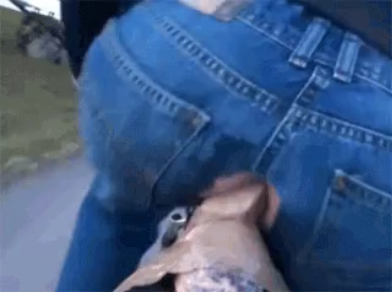 Dildo bike gif